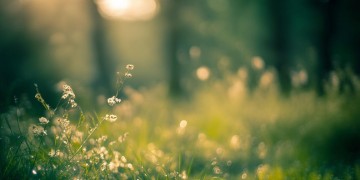 渐渐的渐渐的这句歌词出自哪首歌？