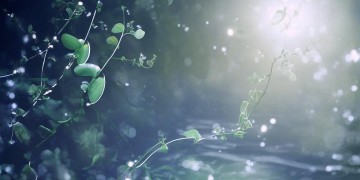 多情的牵挂究竟是何时的歌？