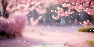 把爱留给朱正廷出自哪首歌？