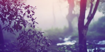 听是你风雨到底是什么歌？