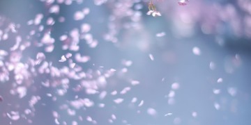 别让多情留余温究竟是哪首歌？