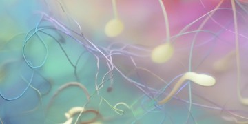 我不当宜修适合搭配什么歌?