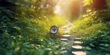 人生就不迷茫出自哪首歌?