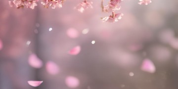 懂得珍惜才相守究竟是哪首歌？