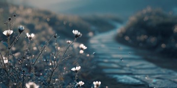 去吧困难究竟是哪首歌的歌词?