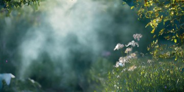 陈慧敏唱的哪些歌好听呢？