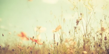 吹进你心内是哪首歌的歌词呢?