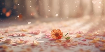 没有你伤口怎能痊愈出自哪首歌?