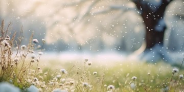 伴春风雪究竟出自哪首歌？