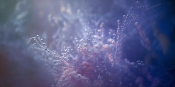 你说你太年轻究竟出自哪首歌？