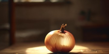 洋葱半剥落出自哪首歌?