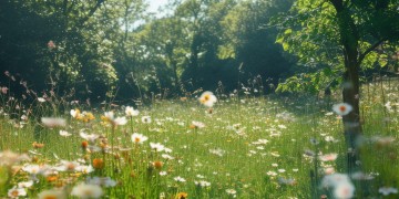总有人正年轻究竟是哪首歌？
