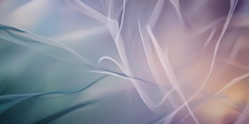 后来歌词加拼音是哪首歌？