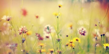 你的青春不后悔究竟是哪首歌?