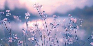 牙叔那首英文歌究竟叫什么？
