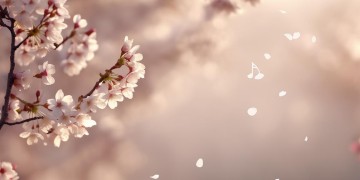 没有你哪里有我究竟是哪首歌？
