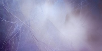 还能怎么呢出自陈奕迅的哪首歌？