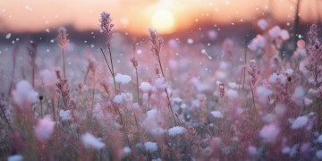 我愿为你风花雪月究竟出自哪首歌?