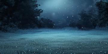 今天我失眠是哪首歌呢？