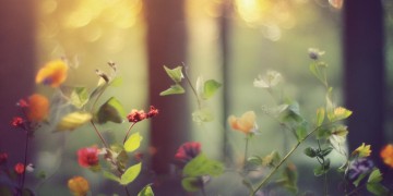 你的善良有人珍惜出自哪首歌?