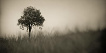 我的心痛没谁理解究竟是哪首歌？