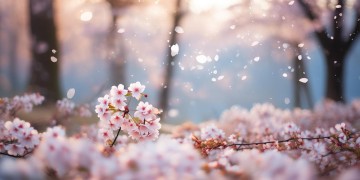 小孩子唱的半山雪究竟是什么歌？