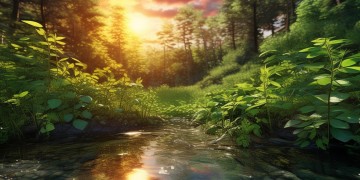 放松一下眼睛出自哪首歌?