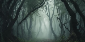 我仿佛听到怪叫声到底是哪首歌？