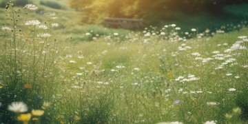 有今生今生做兄弟出自哪首歌？