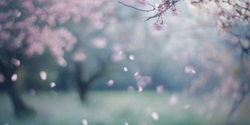 再也回到我们曾经这句歌词出自哪首歌？