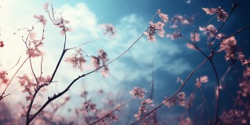 朽歌陨梦究竟是什么意思？
