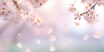 从此我们没有以后出自哪首歌？