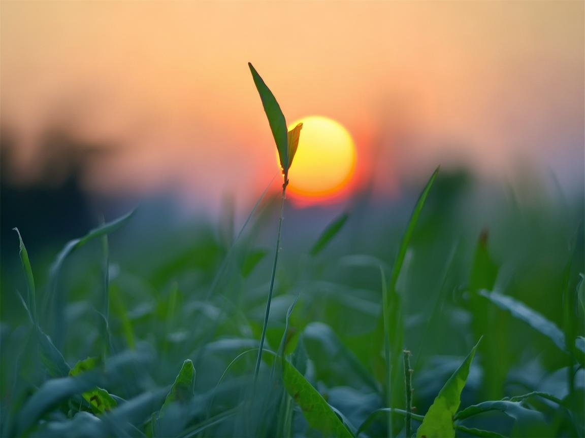 武警早上适合放什么歌? 武警早上适合放什么歌?