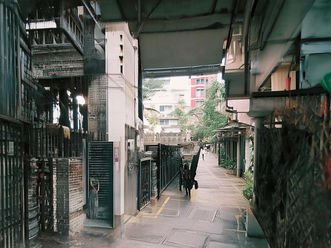 2021年有哪些好听的中文歌？