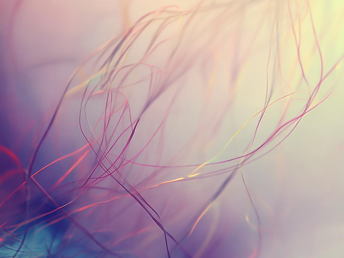 联系的结果究竟是哪首歌? 联系的结果究竟是哪首歌?