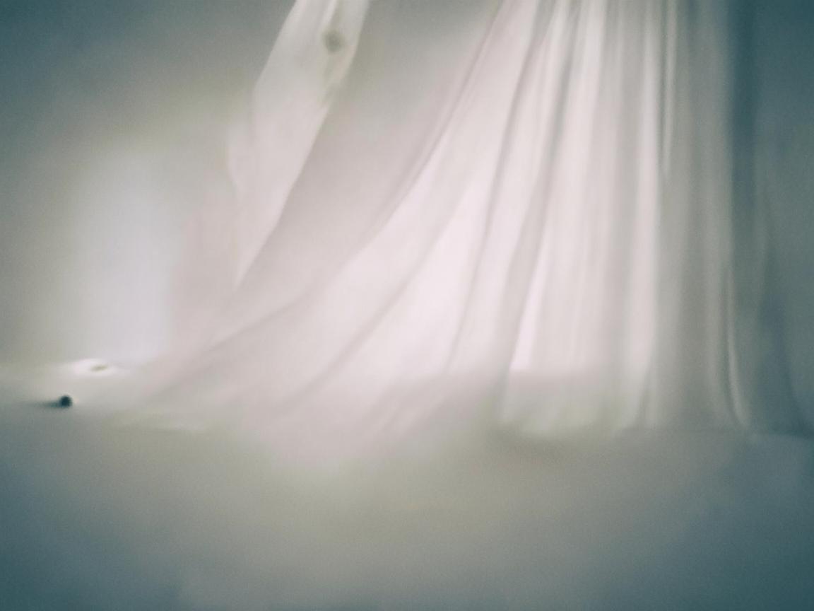 怀抱是个不能停留的地方出自哪首歌？