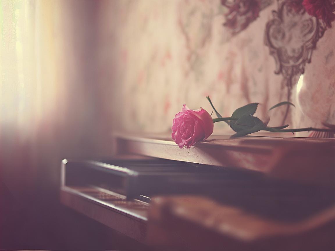 哪首歌最能描述暗恋？